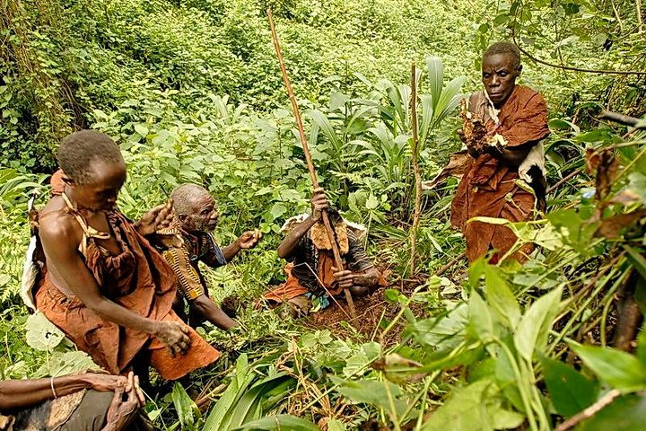 Batwa