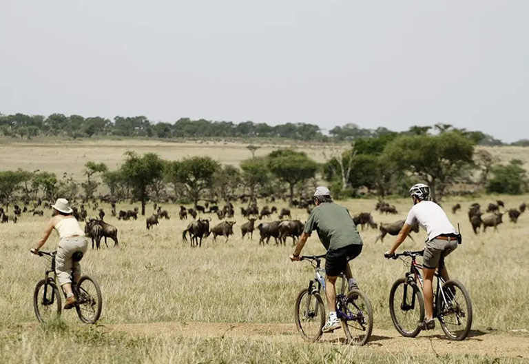 7-Day Uganda Safari