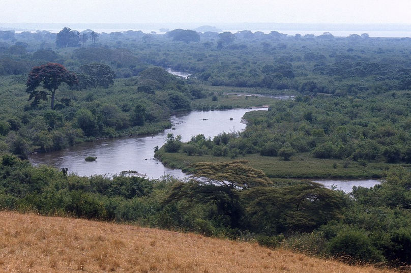 Kazinga